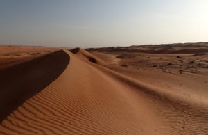 Communication et marketing digital Hôtel par Mélanie Dorange, Directrice Marketing Communication du Al Bustan Palace Ritz-Carlton Hotel Photo de dune Oman