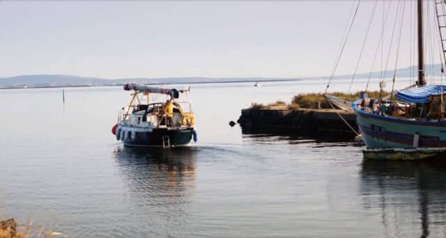 Marseillan étang de Thau