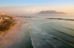 Quelles sont les choses à savoir sur un safari en Afrique du Sud ?