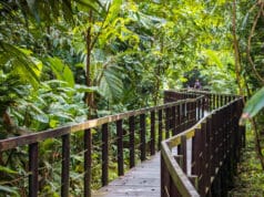 Costa Rica : pourquoi choisir cette destination pour vos prochaines vacances ? Costa Rica voyage séjour groupe