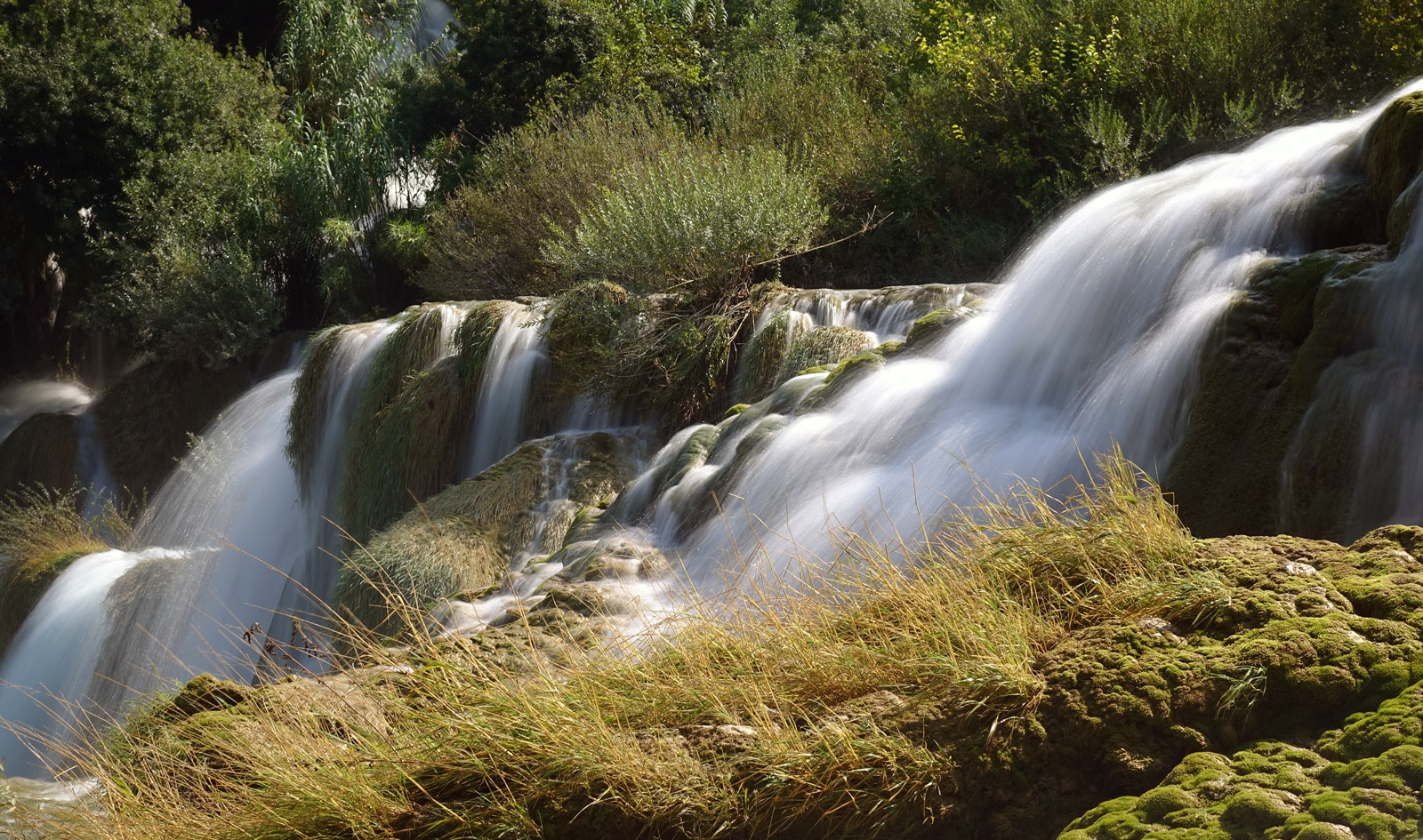 Chutes de Krka en Croatie
