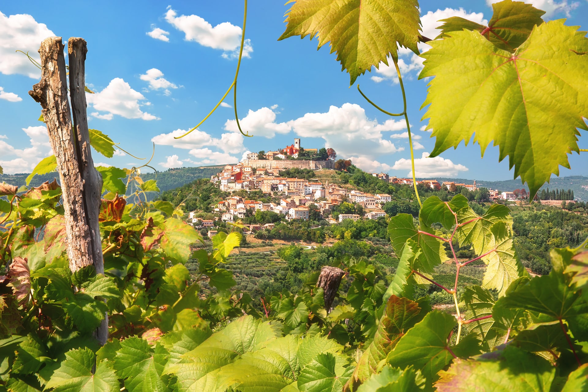 Motovun Croatie